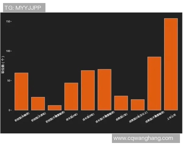 深圳羽毛球队技术表现深度分析与数据洞察探讨