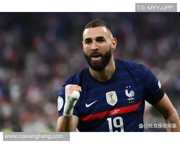 法国足球明星的璀璨星空与他们的辉煌成就探秘