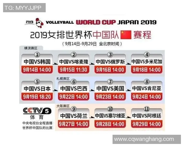 深圳排球队的奋斗历程与世界杯梦想的追逐之路