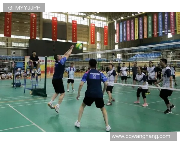 南京排球队逆袭之路揭秘锦标赛背后的奋斗与荣耀