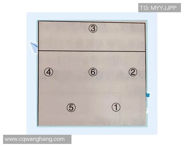 杭州排球队的战术演变与技术提升深度解析 杭州排球队的战术演变与技术提升深度解析