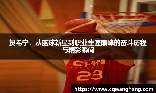 贺希宁：从篮球新星到职业生涯巅峰的奋斗历程与精彩瞬间