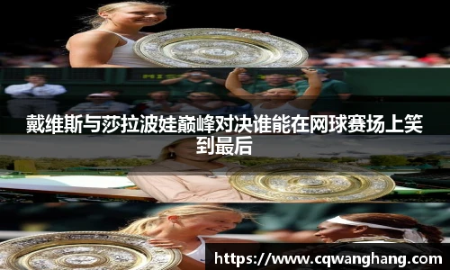 戴维斯与莎拉波娃巅峰对决谁能在网球赛场上笑到最后